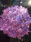 SO FETCH CHUNKY MIX  GLITTER
