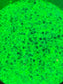 SLIME TIME CHUNKY  MIX GLOW GLITTER