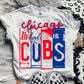MLB LICENSE PLATE BASEBALL GRAPHIC TEE BUNDLE
