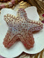 Star Fish FRESHIE